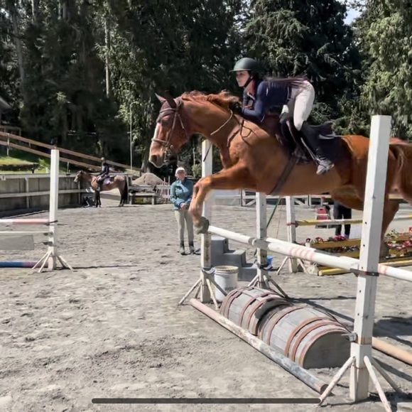 Meet your Posher, Erika - Picture 1 of 1